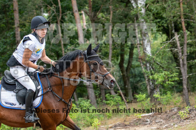 Late-Entry Vielseitigkeit Hamminkeln/Wesel (01.+02.08.2020)