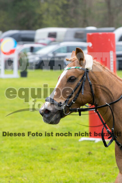 RV Seydlitz Kamp (06.+07.04.2019)