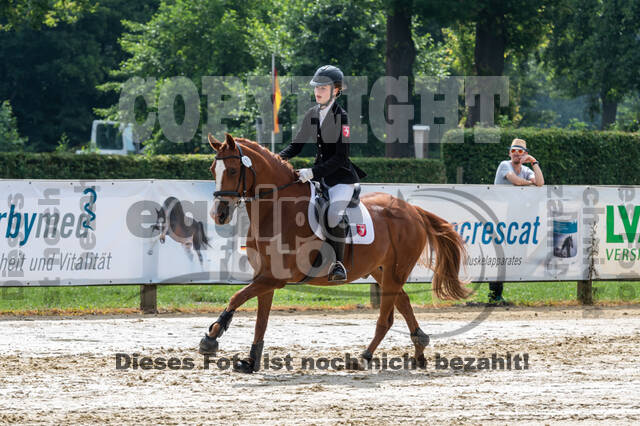 Goldene Schärpe 2021 - Ponys