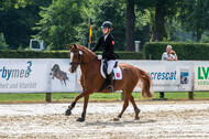 Goldene Schärpe 2021 - Ponys