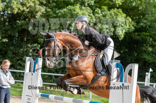 Late-Entry-Vielseitigkeit Langenfeld (06.+07.07.2020)