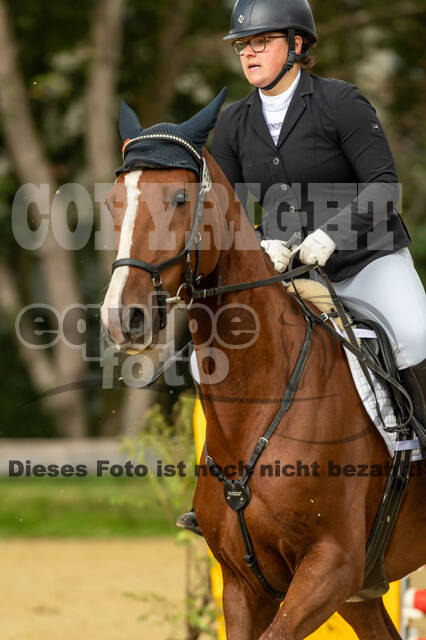 Vielseitigkeit RSV Wesel Obrighoven (26.+27.09.2020)