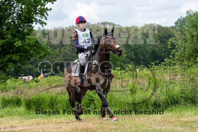 Westerstede Horse Trials 2021