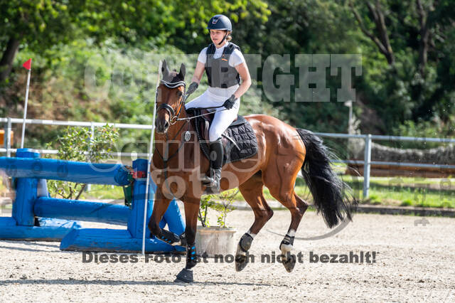 Late-Entry-Vielseitigkeit Langenfeld (11.+13./14.06.2020)