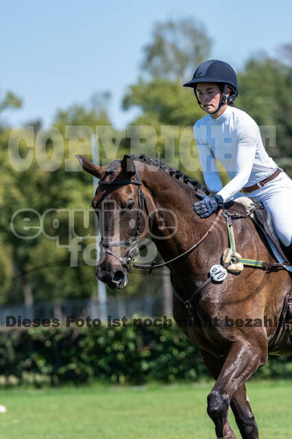 Kronenberg - De Peelbergen (August 2020)