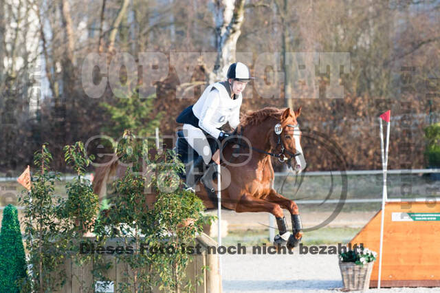 Eventing Langenfeld 2018