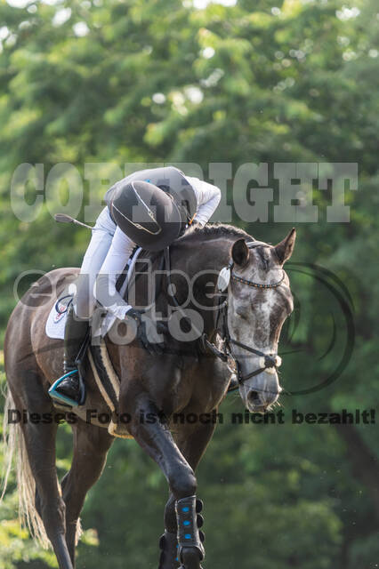 Goldene Schärpe 2021 - Ponys