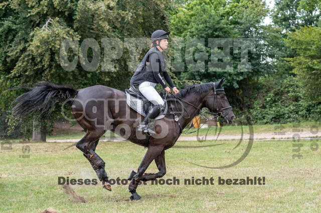 Late-Entry-Vielseitigkeit Langenfeld (11.+13./14.06.2020)