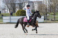 Eventing Langenfeld 2018