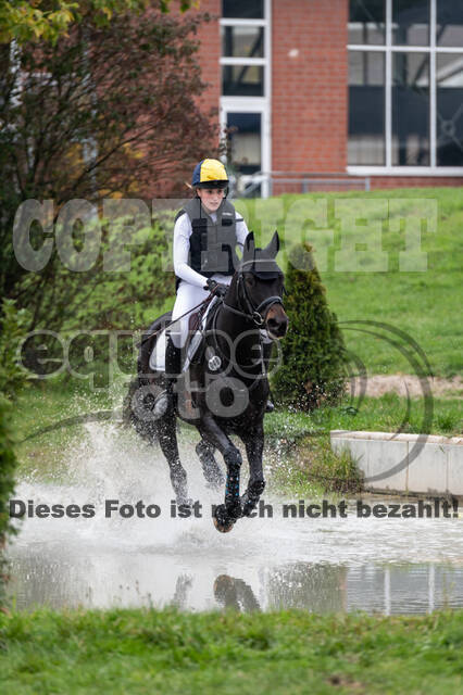 Goldene Schärpe 2020 - Pferde