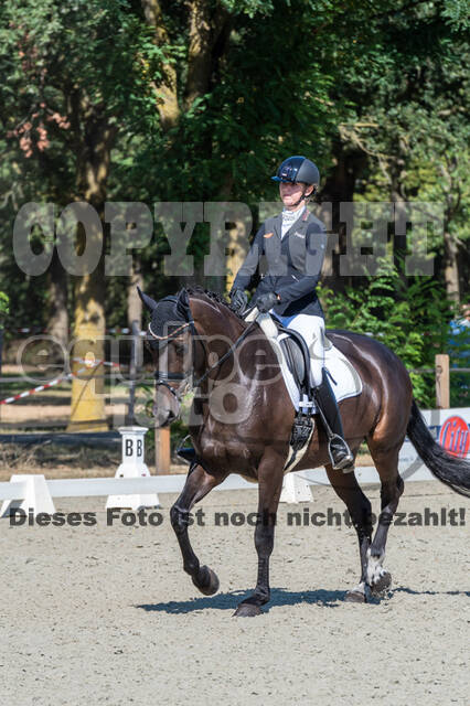 Kronenberg - De Peelbergen (August 2020)