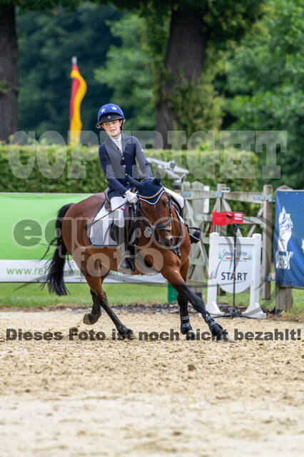Goldene Schärpe 2021 - Ponys