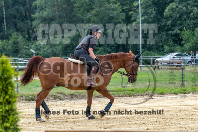 Hunter Geländetraining 10.07.2021 (Sonsbeck)