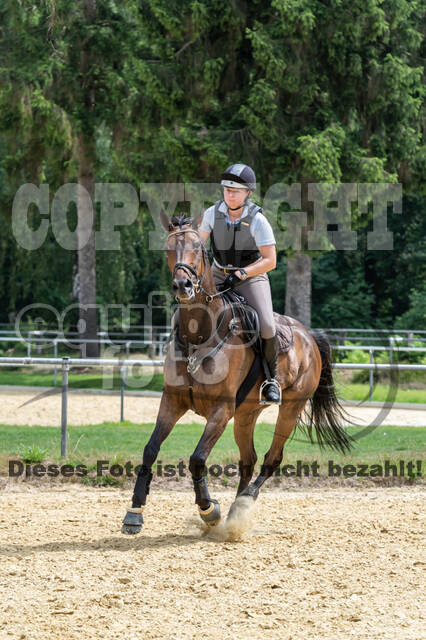 Hunter Geländetraining 10.07.2021 (Sonsbeck)