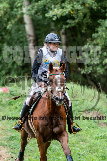 Vielseitigkeit RSV Wesel Obrighoven (26.+27.09.2020)