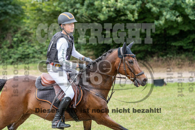 Late-Entry-Vielseitigkeit Langenfeld (11.+13./14.06.2020)