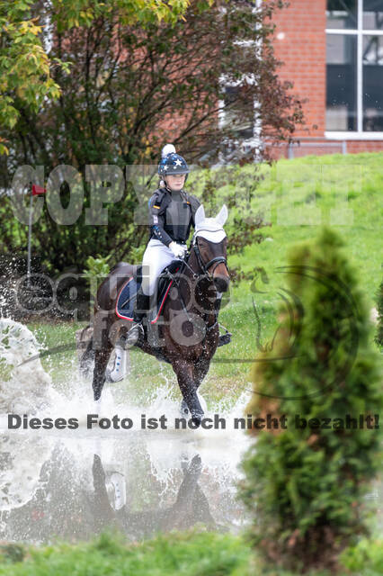 Goldene Schärpe 2020 - Pferde