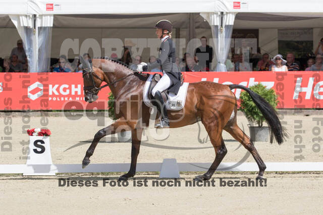 FEI European Championship Eventing 2017