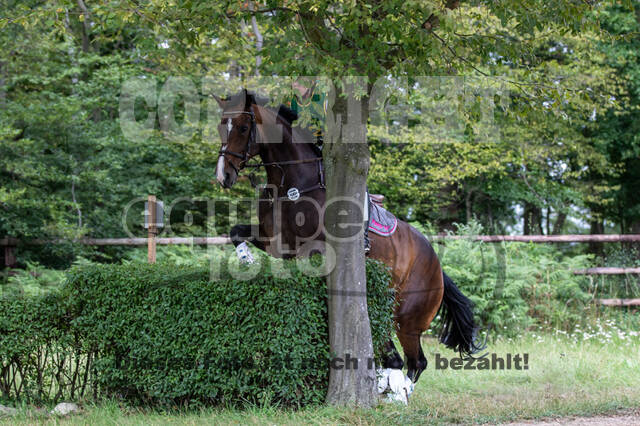 Late-Entry-Vielseitigkeit Gahlen (18.07.2020)