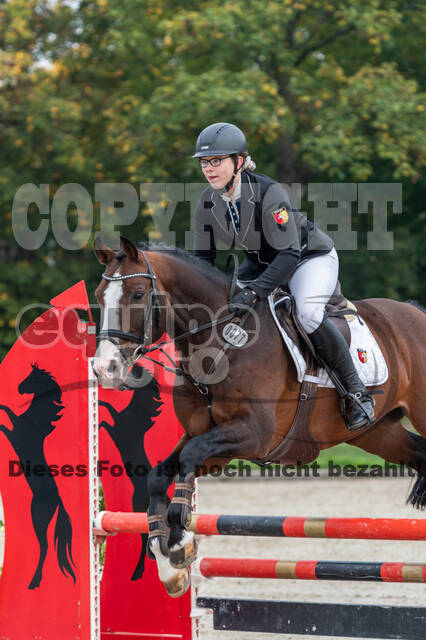 Goldene Schärpe 2020 - Pferde