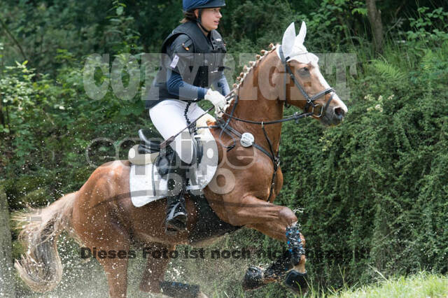 RFV Bad Honnef
