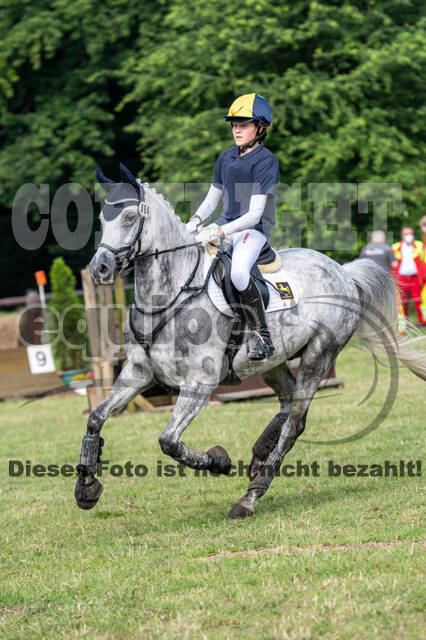 Goldene Schärpe 2021 - Ponys