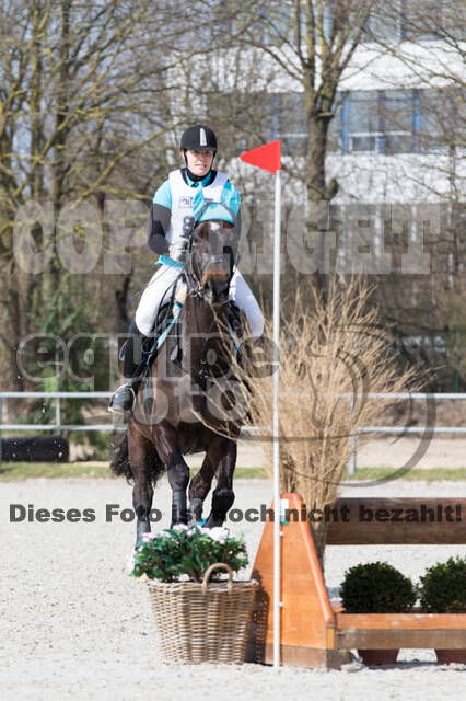Eventing Langenfeld 2018