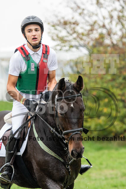 Goldene Schärpe 2020 - Pferde