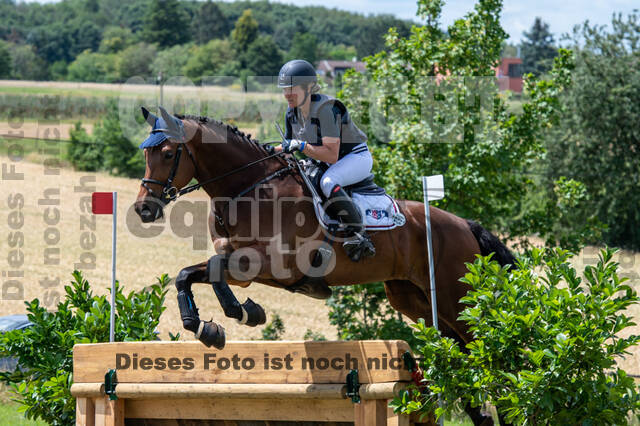 Bonn-Rodderberg Late-Entry-Vielseitigkeit (30.06.2020)