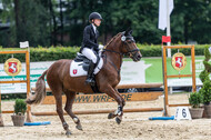 Goldene Schärpe 2021 - Ponys