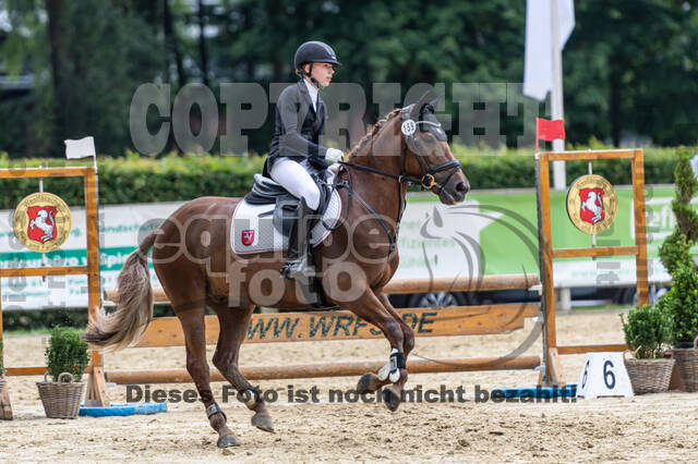 Goldene Schärpe 2021 - Ponys