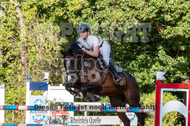 RFV Dinslaken-Hiesfeld (Herbstturnier)