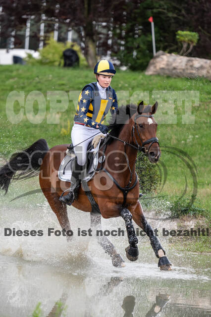 Late-Entry-Vielseitigkeit Langenfeld (06.+07.07.2020)