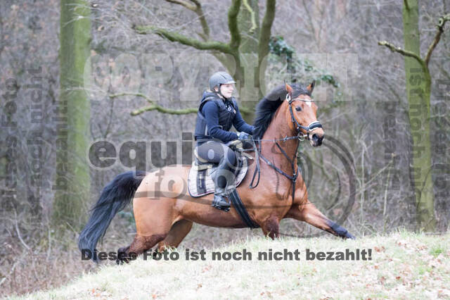 Geländetraining RSV St. Hubertus Wesel Obrighoven