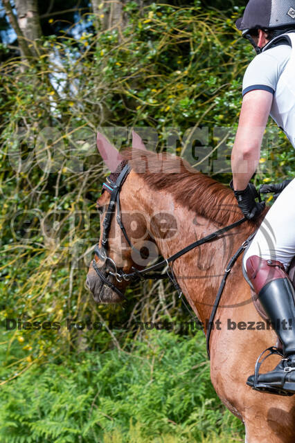 Westerstede Horse Trials 2021