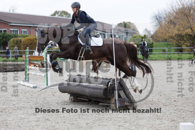 IGV Lehrgang der Sieger der Cups mit Frank Ostholt