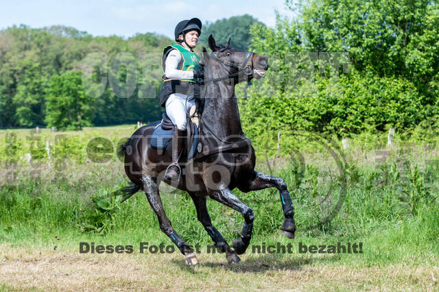 Westerstede Horse Trials (10.-13.06.2021)