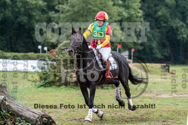 Vielseitigkeit RSV Wesel Obrighoven (26.+27.09.2020)