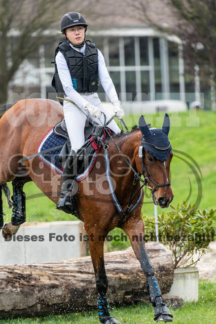 Goldene Schärpe 2020 - Pferde