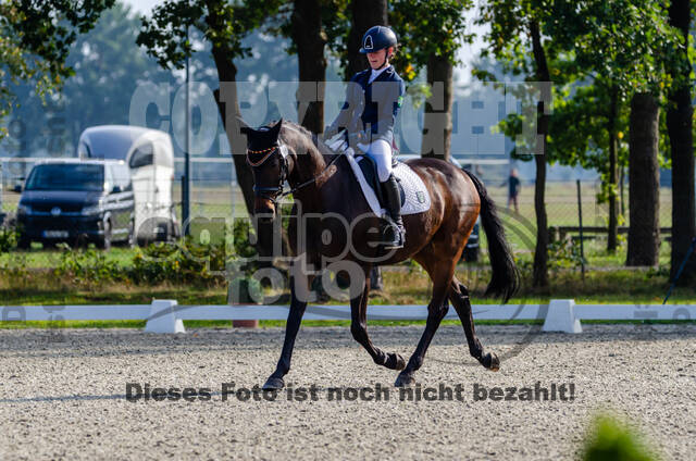 Deutsche Meisterschaft Vielseitigkeit (Luhmühlen)