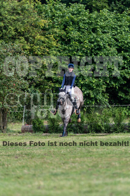 Goldene Schärpe 2021 - Ponys