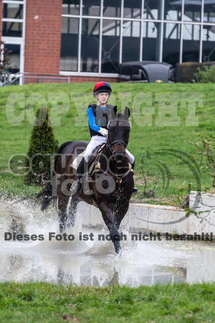 Goldene Schärpe 2020 - Pferde