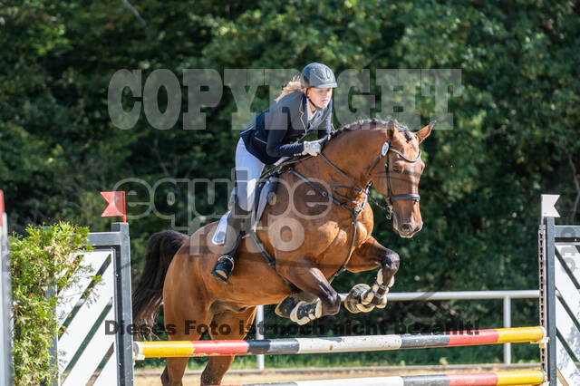 RFV Dinslaken-Hiesfeld (Herbstturnier)