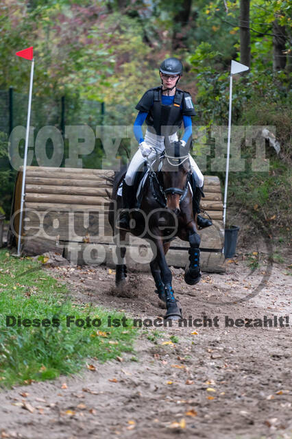 Goldene Schärpe 2020 - Pferde