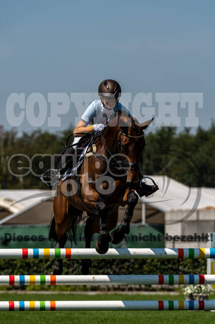 Kronenberg - De Peelbergen (August 2020)