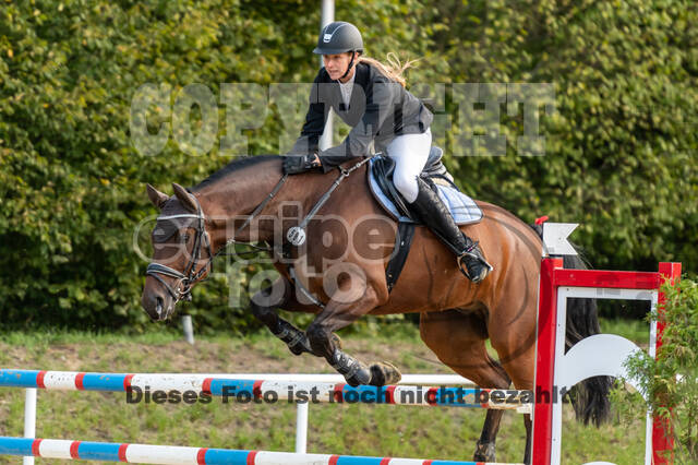 RFV Dinslaken-Hiesfeld (Herbstturnier)