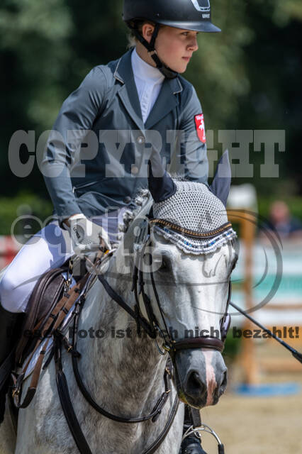 Goldene Schärpe 2021 - Ponys