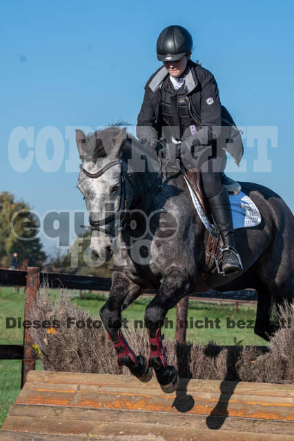 Vielseitigkeitslehrgang mit Jürg Kurbel (9.+10.11.2019)