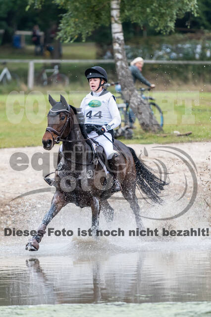 Deutsche Meisterschaft Vielseitigkeit (Luhmühlen)