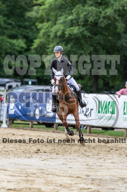 Goldene Schärpe 2021 - Ponys